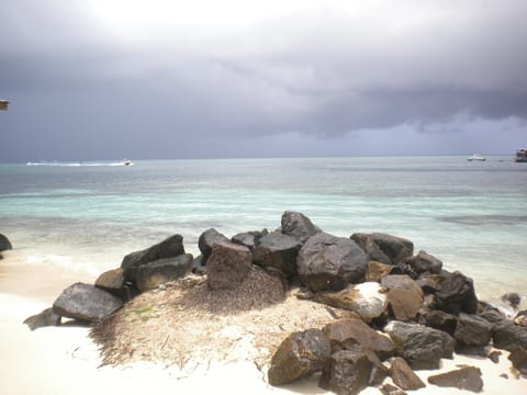 On the beach