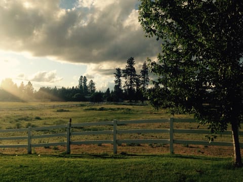 View from the living room window! 
