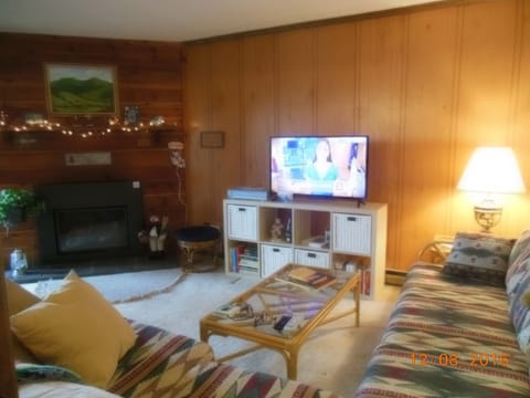 Smart TV, fireplace, books, music library