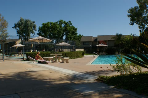 Outdoor pool, a lap pool