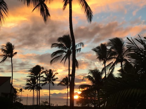 Beach/ocean view