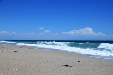 On the beach