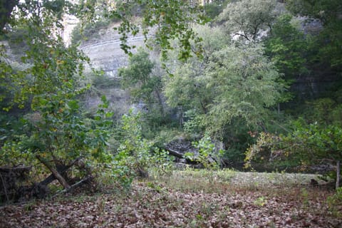 Breathtaking View of River Bluff for amazing Eagle watching