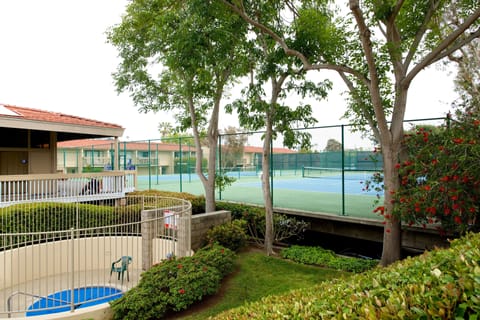 Sport court