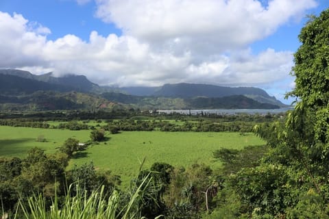 view from road driving down to Hanalei Bay