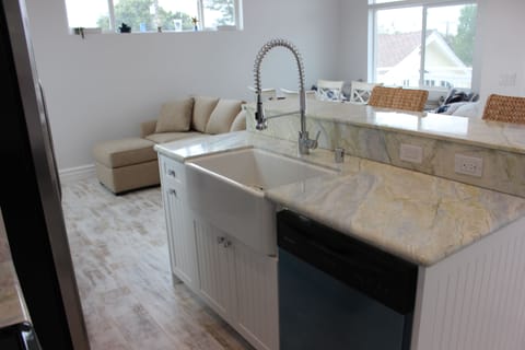 Farmers sink and industrial kitchen sprayer faucet