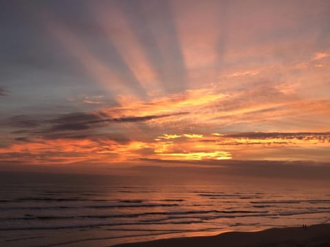 Wake up to the sounds of the ocean on beautiful New Smyrna Beach 