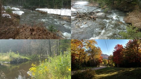 Trout Stream on property and scenic road