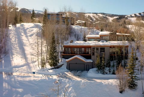 Private ski trail next to house.