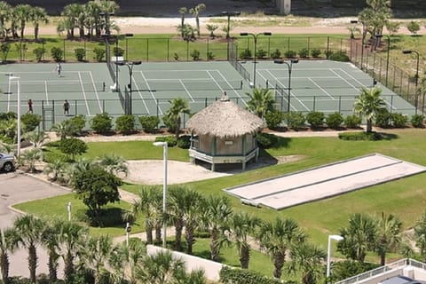 Sport court