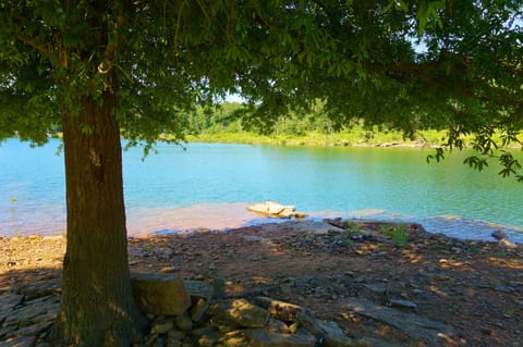 Our famous "Shade Tree". Flat rocks make it easy to get in/out of the water. 