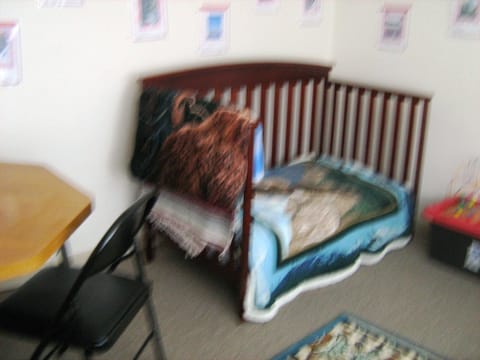 3 bedrooms, desk, iron/ironing board, cribs/infant beds