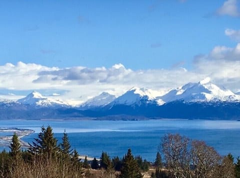 Kachemak Bay, late fall. View from property