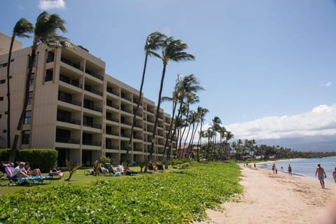 On the beach, sun loungers, beach towels