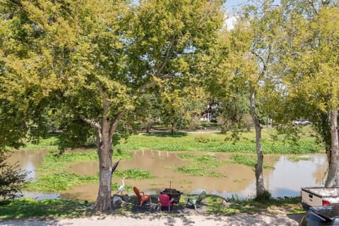 Oasis Cajun Au Centre-ville De New Iberia Sur BayouTeche. Animaux ...