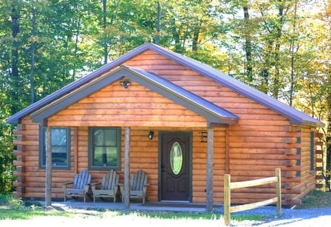 Welcome to Cayuga Lake Cabins, Log Cabin B, your home away from home!