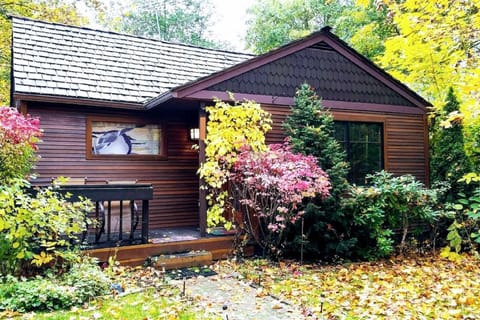 Cozy, clean and modern cottage in downtown CDA. Walking to lake and dowtown