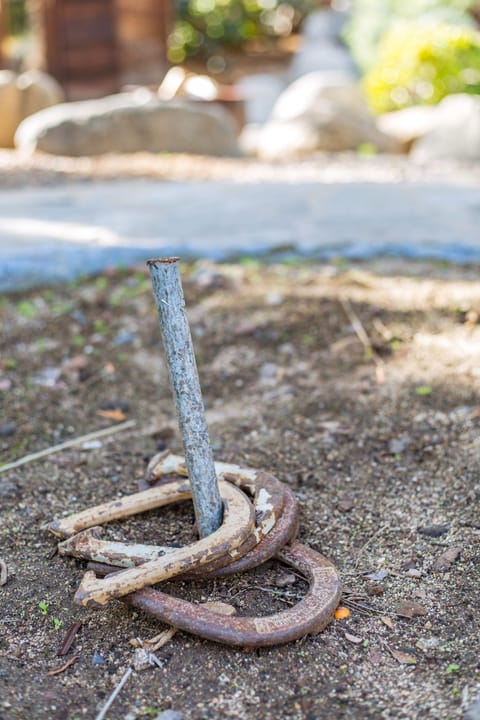 Enjoy a Game of Horseshoes with family and friends out back by the Pool.