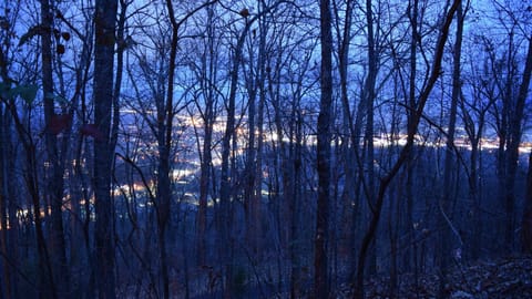 Pigeon Forge at dusk from November thru March