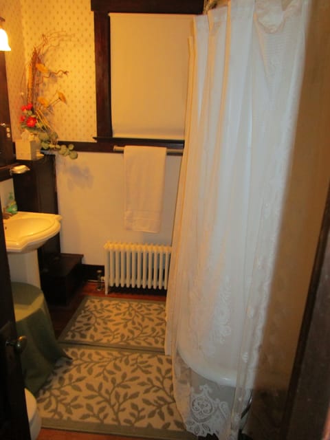 Combined shower/tub, hair dryer, towels, soap