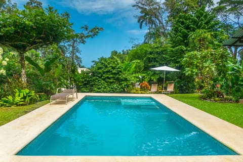 Our pool surrounded by jungle and gardens. 