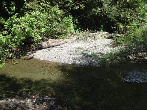 View of Dutch Bill Creek from the dining room deck with BBQ and picnic tables.