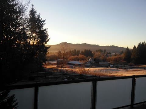 Backyard View