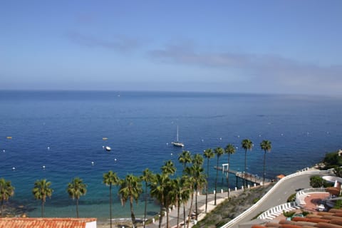 Balcony ,Full Ocean View, .Watch out for other condos with only partial view