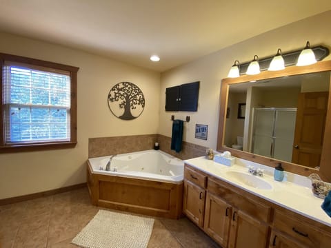 Bathtub, jetted tub, hair dryer, towels