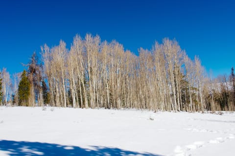 Great hiking is just outside your door!