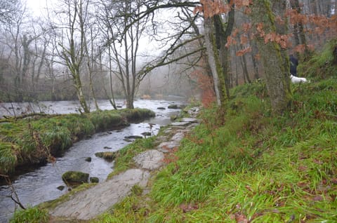river walks along ancient stone paths