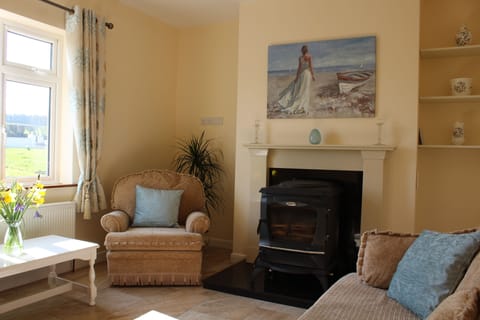 Living area | TV, fireplace, books, stereo