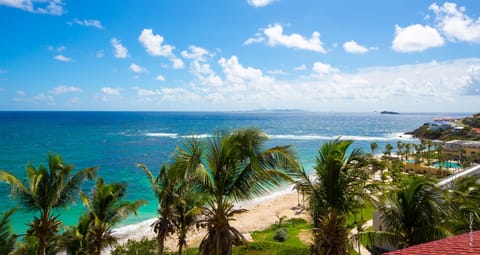 Beach/ocean view