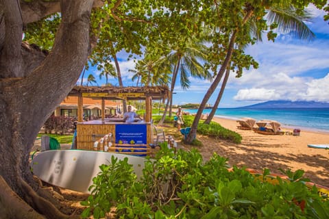 On the beach, sun loungers, beach towels