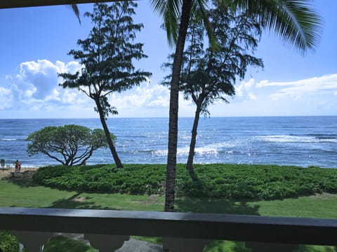 View looking straight from the lanai.  Watch the whales.