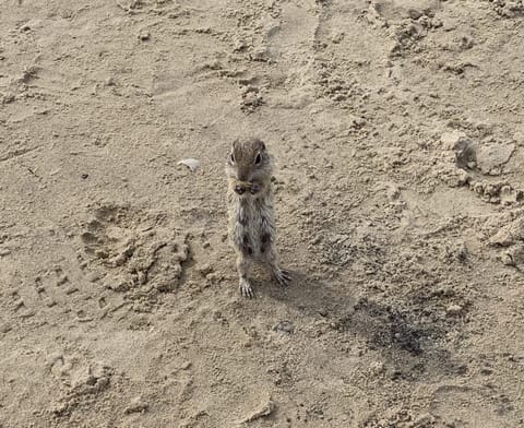 On the beach