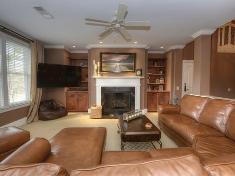 Living area | TV, fireplace, DVD player, video library