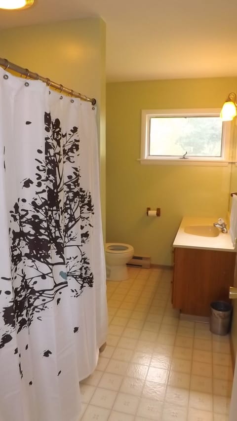 Combined shower/tub, hair dryer, towels