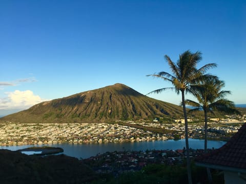 From your window, what a fabulous view! The ocean, Koko Crater, the marina.