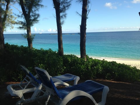 On the beach, sun loungers, beach towels