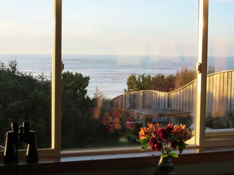 Oceanfront Apartment...View of Ocean from apartment