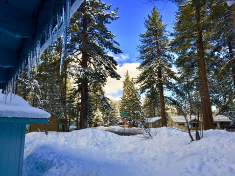 Looking out the front yard in 2017 after a winter storm in 2017.