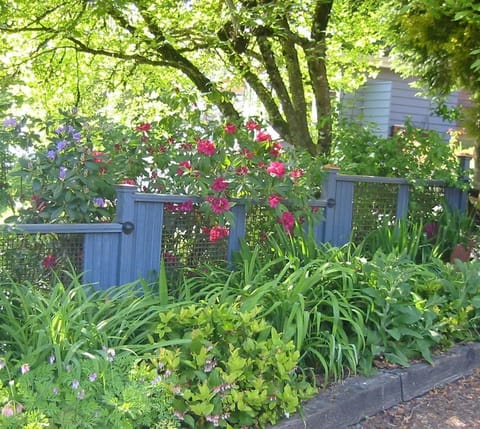 From the Street. Private and quiet back yard.