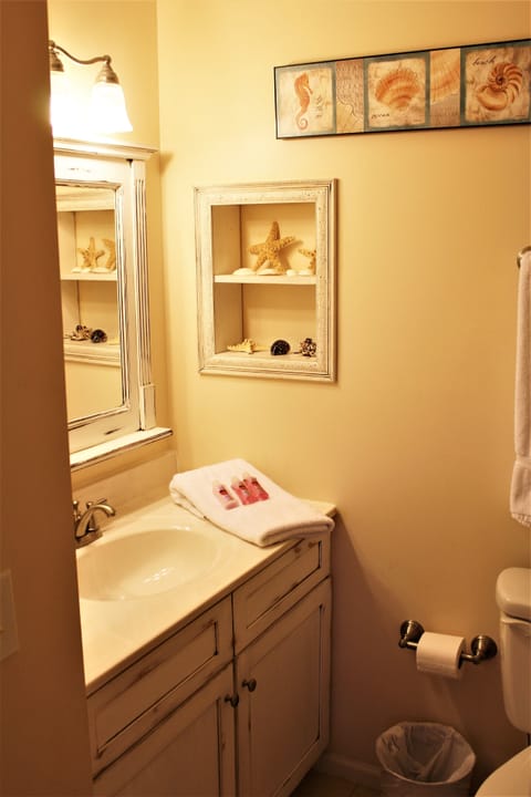 Combined shower/tub, hair dryer, towels, soap