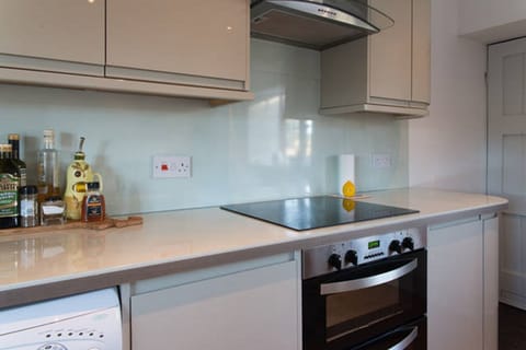 Kitchen with induction hob/stove.