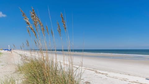 On the beach, sun loungers, beach towels