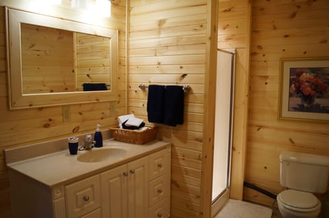 Bathroom with shower and laundry facilities