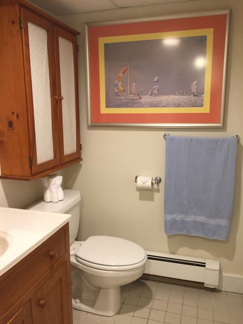 Bathtub, jetted tub, hair dryer, towels