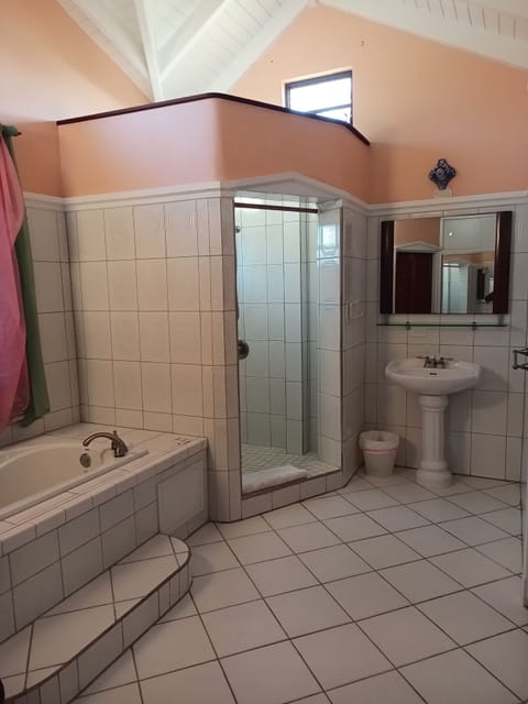 Shower, jetted tub, hair dryer, towels