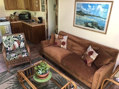 Couch and Chair living room